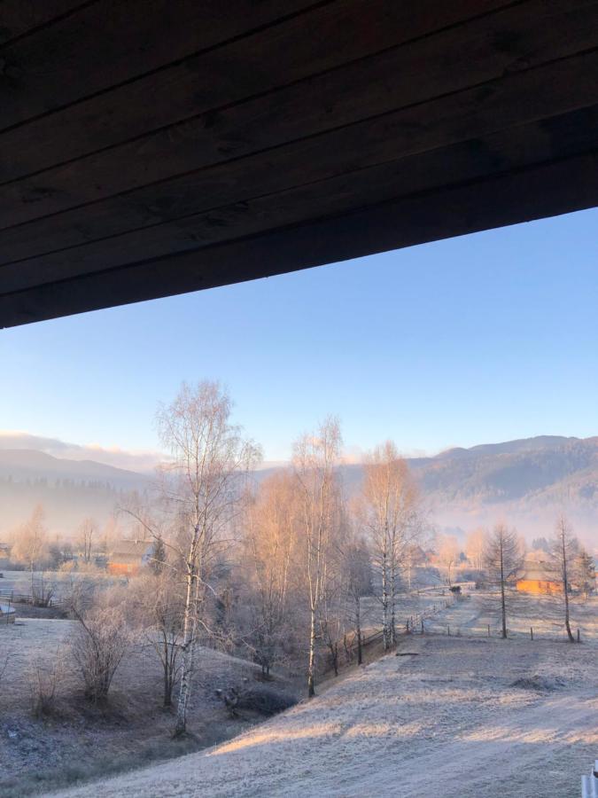 Вілла Зозуля Mykulychyn Buitenkant foto